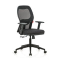 Featherlite Anatom Mesh Office Chair without Headrest (Black), view 1