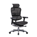 Featherlite Pinnacle Mesh Office Chair with Headrest (Black)