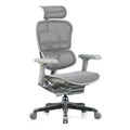 Featherlite Pinnacle High Back Mesh Chair With Multilock Seat Sliding Mechanism & Three Way Adjustable Arms
